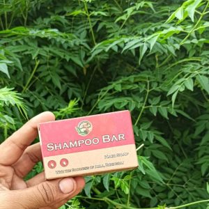 shampoo bar